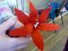 a student\'s completed flower