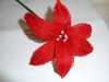 a student\'s completed flower