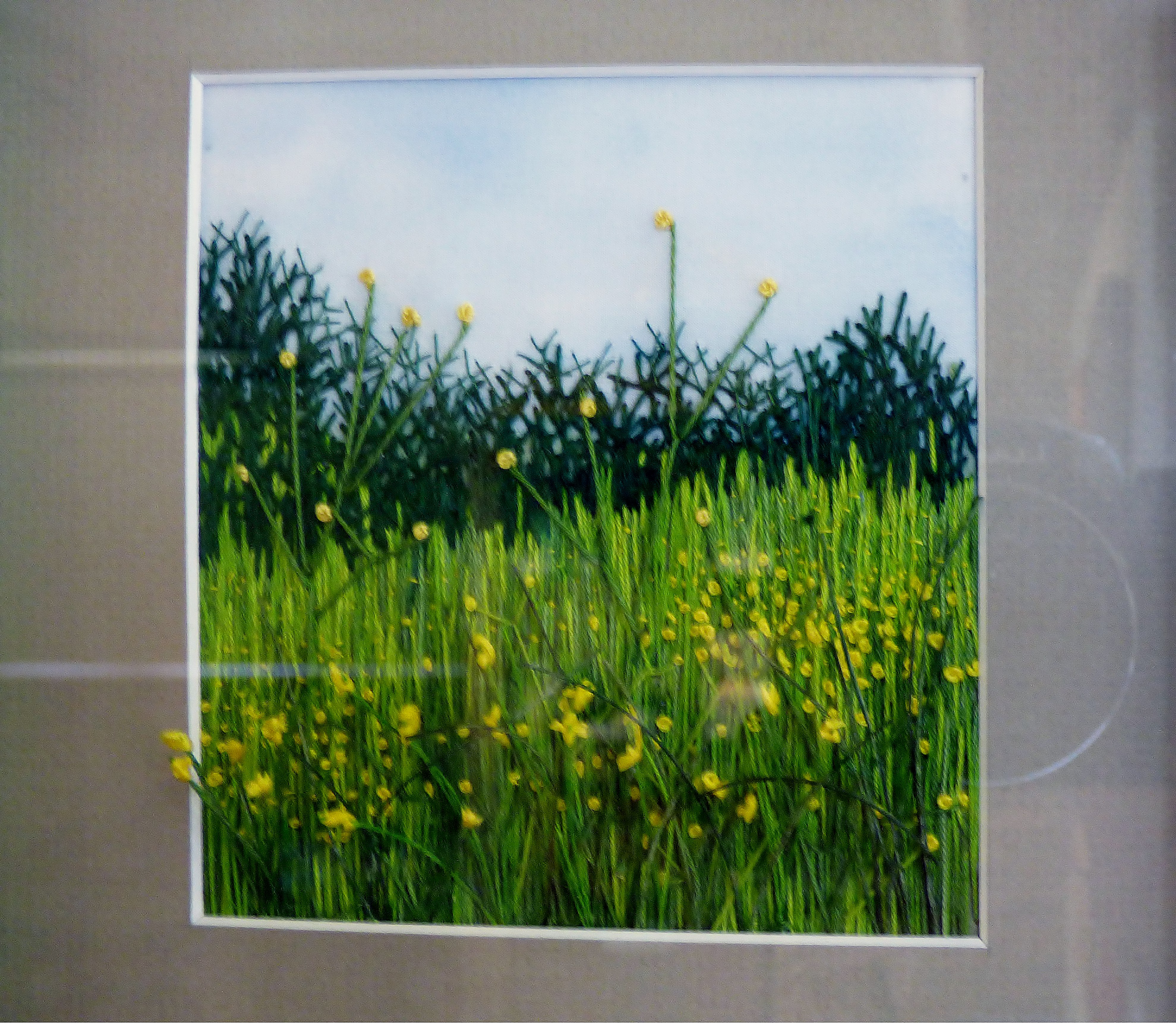 DANDELIONS by Rita Kurzwell, free style embroidery