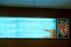 artworks in Liverpool Women's Hospital