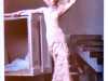 slide showing wedding dress by Alexander McQueen 2006