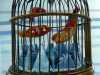 (detail) BIRD CAGE by Sue Boardman, brass and textile