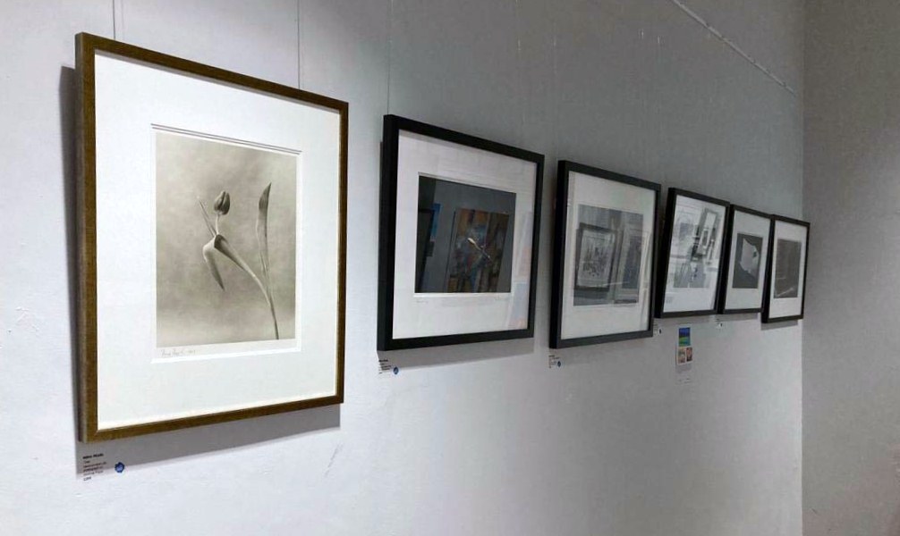 photography by Rena Pearl, Calderstones Park exhibition 2022