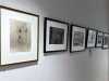 photography by Rena Pearl, Calderstones Park exhibition 2022