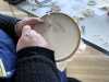 "Calico Gardens" Workshop with Elizabeth Almond, March 2023