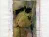 KIRKHARLE TRIPTYCH 2 by Liz Smith, Glossop & District EG, hand dyed fabric, woolen blanket and heat transferred images