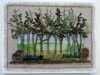THROUGH THE TREES by Pam Hayes, Macclesfield & District EG, applique with hand embroidery and beads