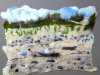 LITTLE TERNS AT GRONANT SAND by Suzanne Owen