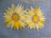 Table mat with Sunflowers by Joy Clucas nee Dobbs, 1960