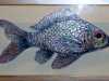 MISS RACHEL'S SILVER FISH by Nikki Parmenter, Gawthorpe Hall, Sept 2020