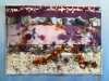 BOTTOM DRAW, Vicky Venn, Phoenix Textile Group