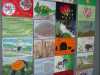 display of Sporting Nations postcards at National AGM Southport 2012