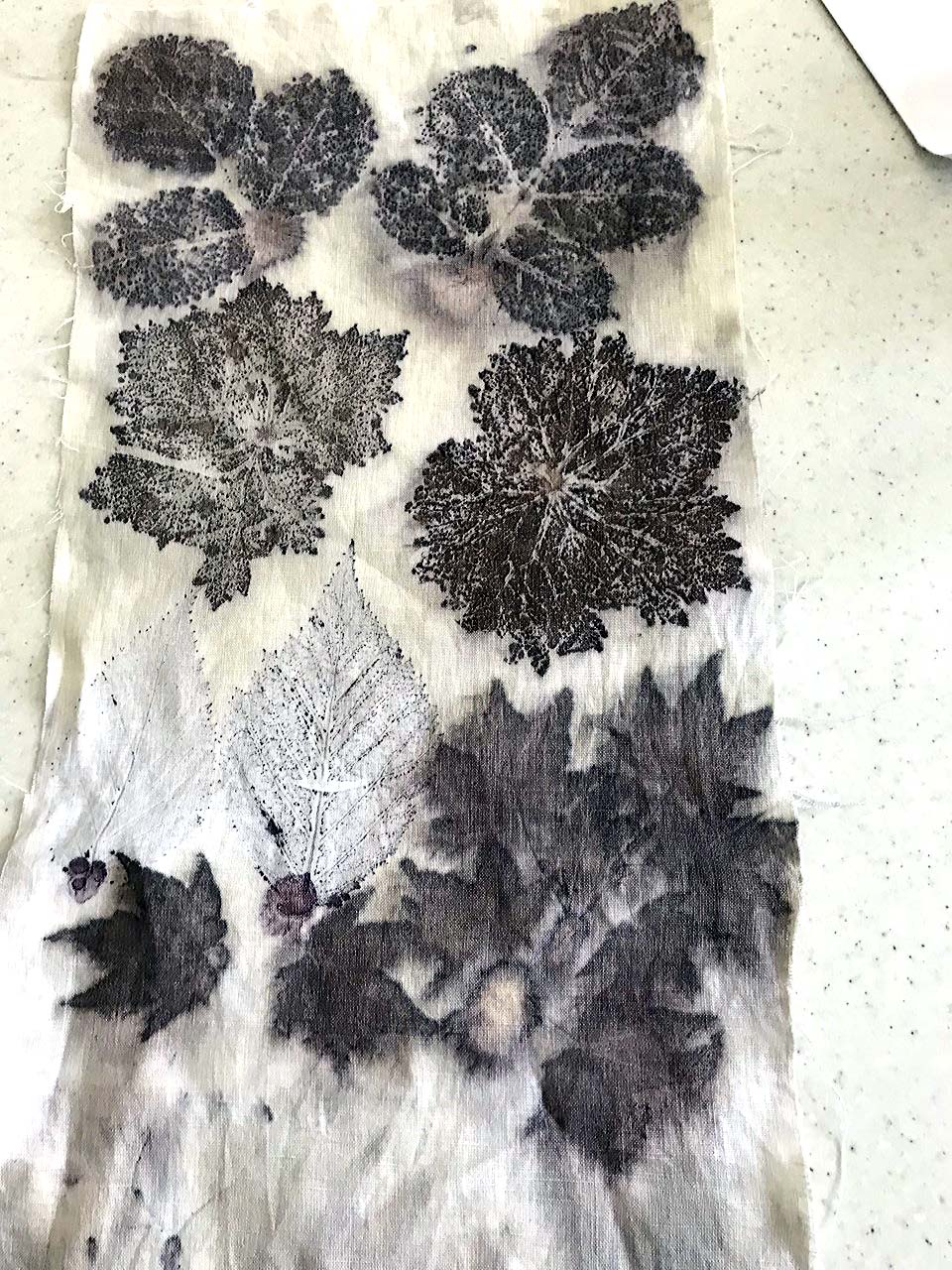 student's work at "Natural Dyes and Botanical Printing" ZOOM Workshop 2021