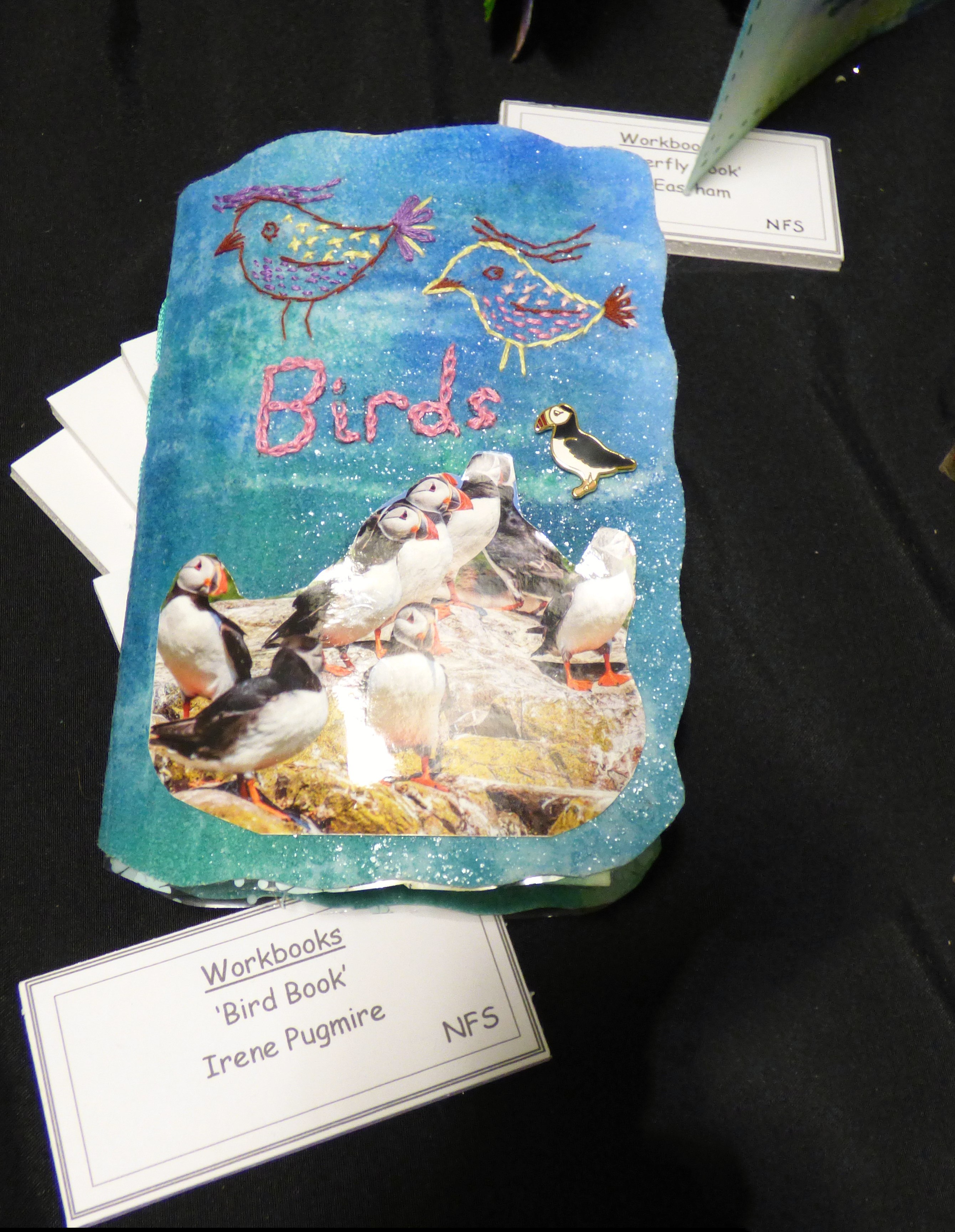 BIRD BOOK by Irene Pugmire, Preston EG exhibition, Barton Grange 2017