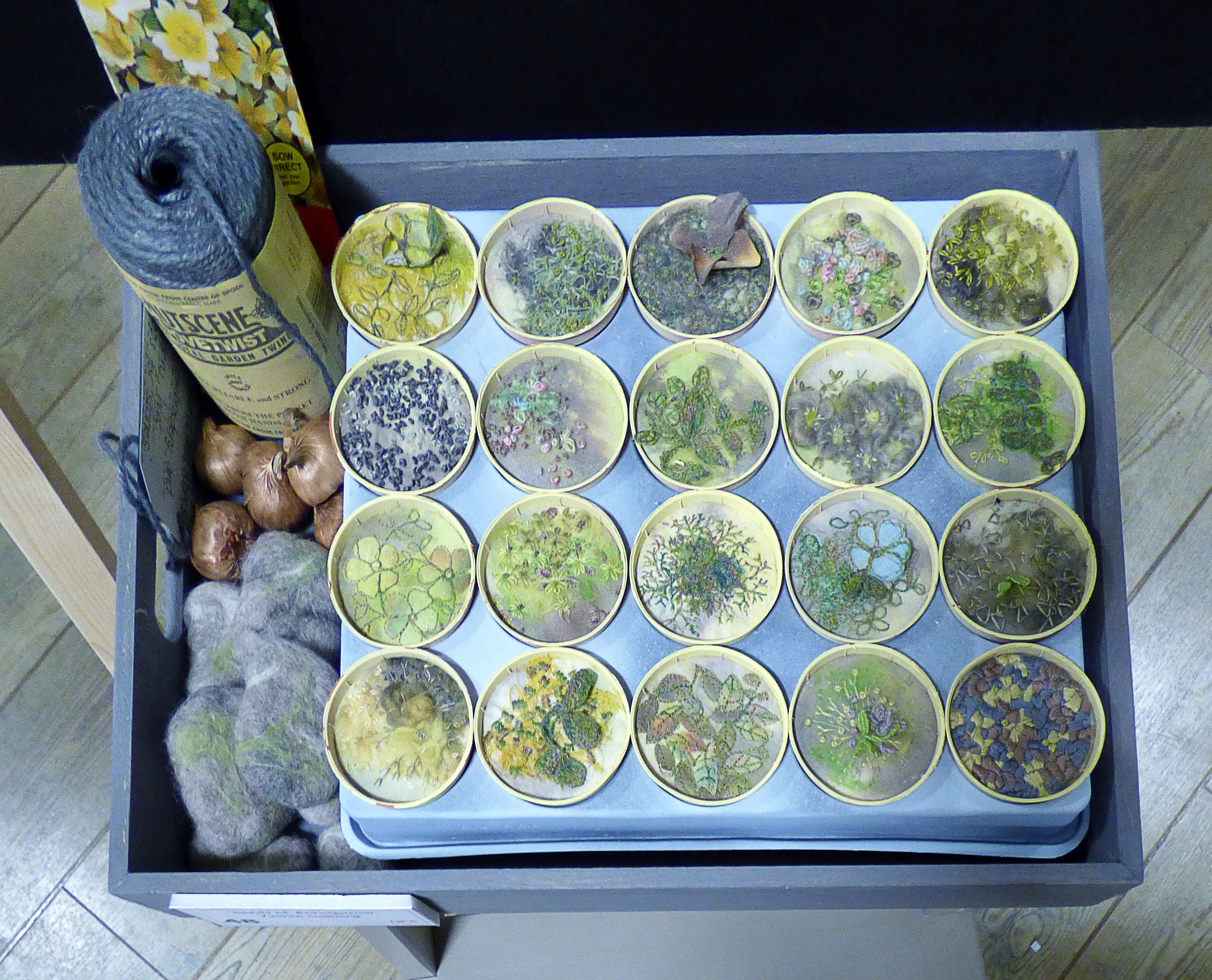SEEDS OF ANTICIPATION by Yvonne Downing, Preston EG exhibition, Barton Grange 2017