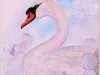 SWAN by Susan Fielding, Natural Progression Group, July 2021