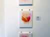 TULIPS 1,2,3 by Nicky Robertson, Natural Progression Group, July 2021