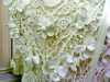 detail of Irish crochet wedding gown 1900