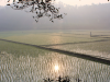 View from the road outside Sreepur at dusk, so peaceful.