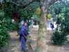 its cleaning day at Sreepur, Bangladesh, under the jackfruit tree