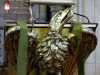 eagle lectern in All Hallows Church, Liverpool, Feb 2022