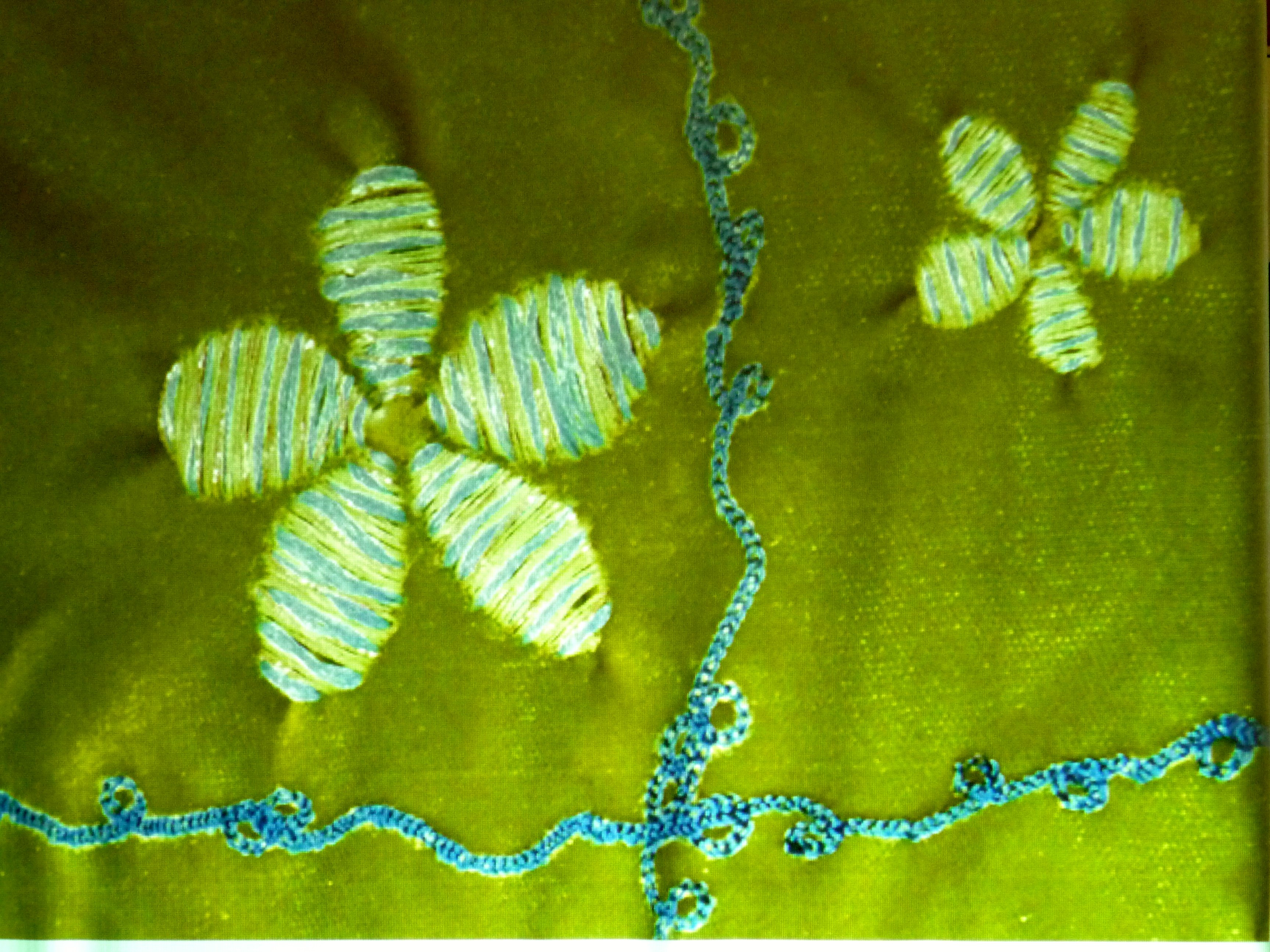 slide by Alice Colson showing embroidery influenced by Kay's Practical Embroiderer