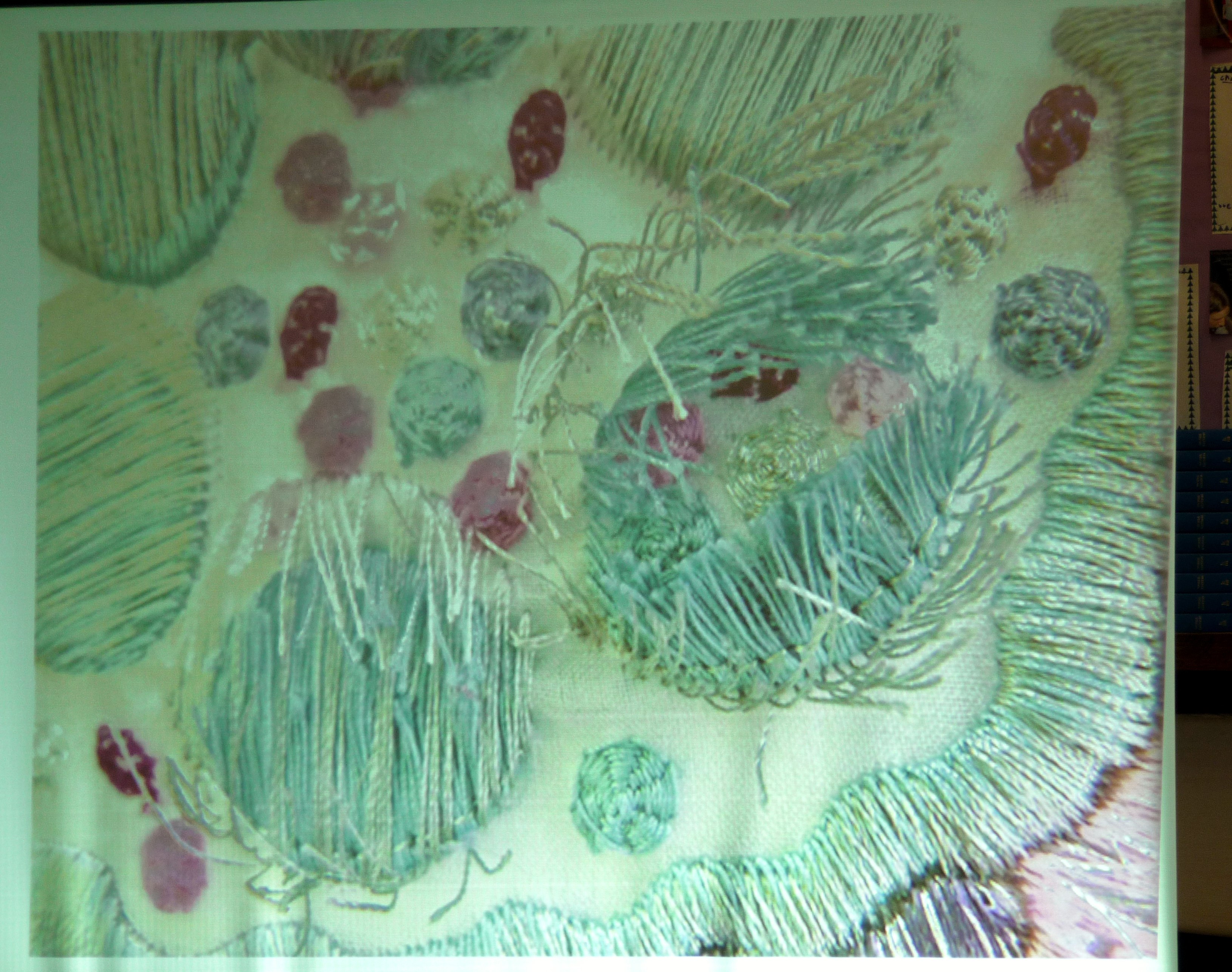 slide by Alice Colson showing machine embroidery with cut stitches