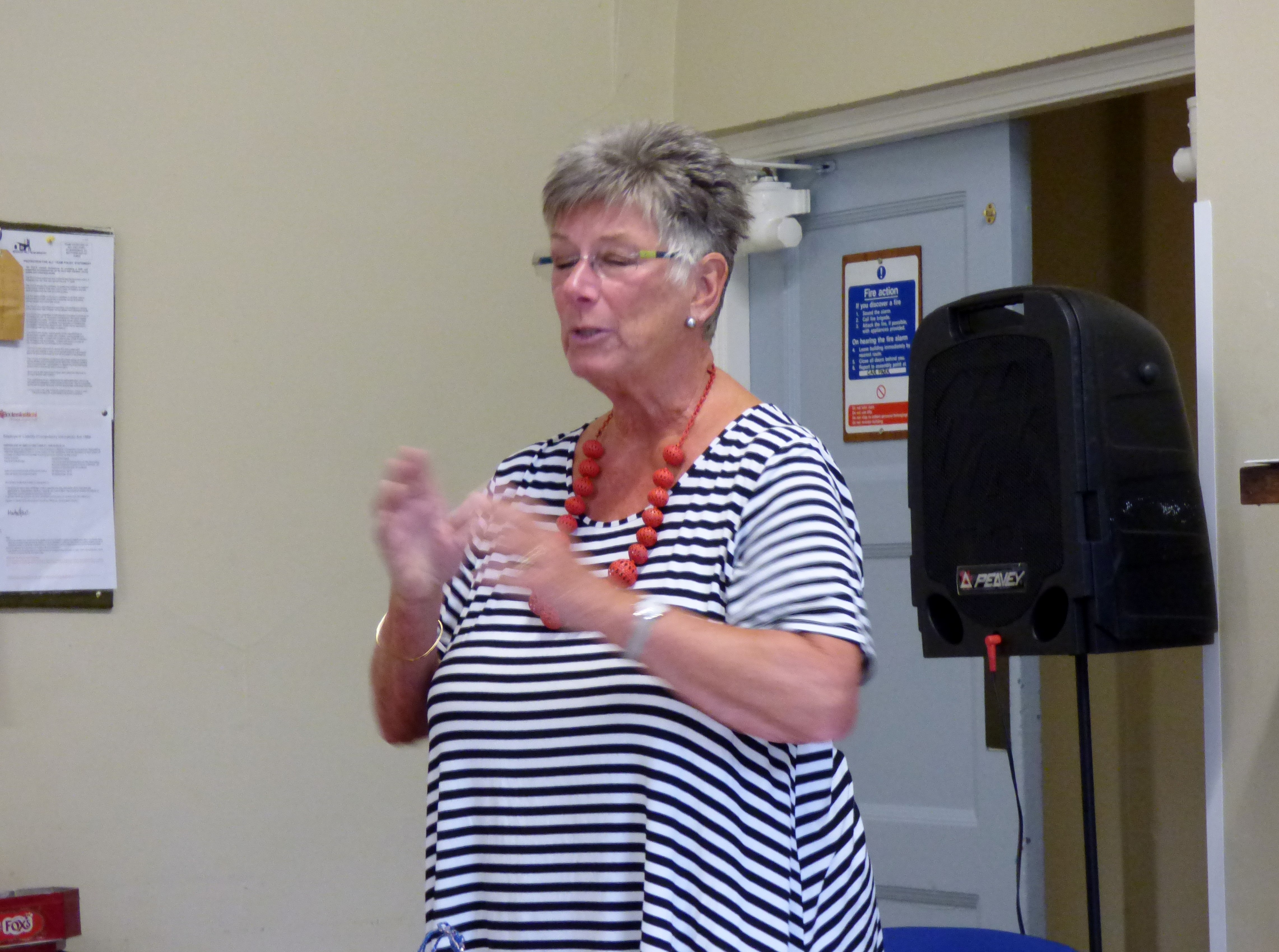 Liz Smith of Glossop EG speaking to Merseyside EG about Glossop's group project