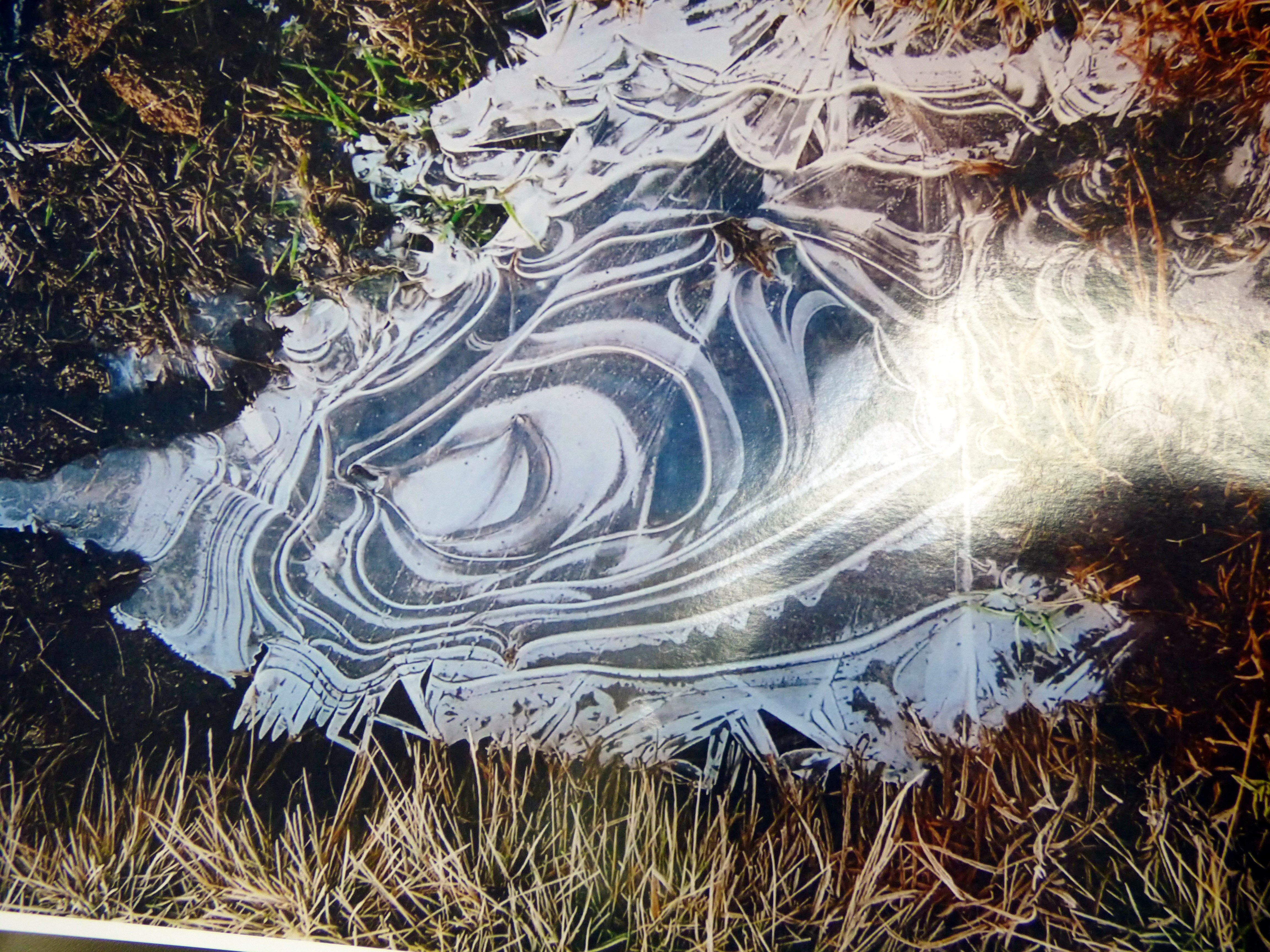 photo of a frozen pond which inspired Judi Brown of Glossop EG