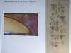 slide showing metal thread embroidery by Moya McCarthy, N.Wales EG