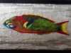 GREEN MOON WRASSE, embroidery by Patti Owen