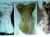 slide of a nursing corset, a skeleton corset, and a ribbon corset