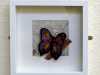 3 BUTTERFLIES by Claire Danks, 3 small square hand stitched pieces