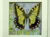 SWALLOWTAIL BUTTERFLY by Patricia Jane King, mixed media with freehand machining and beads