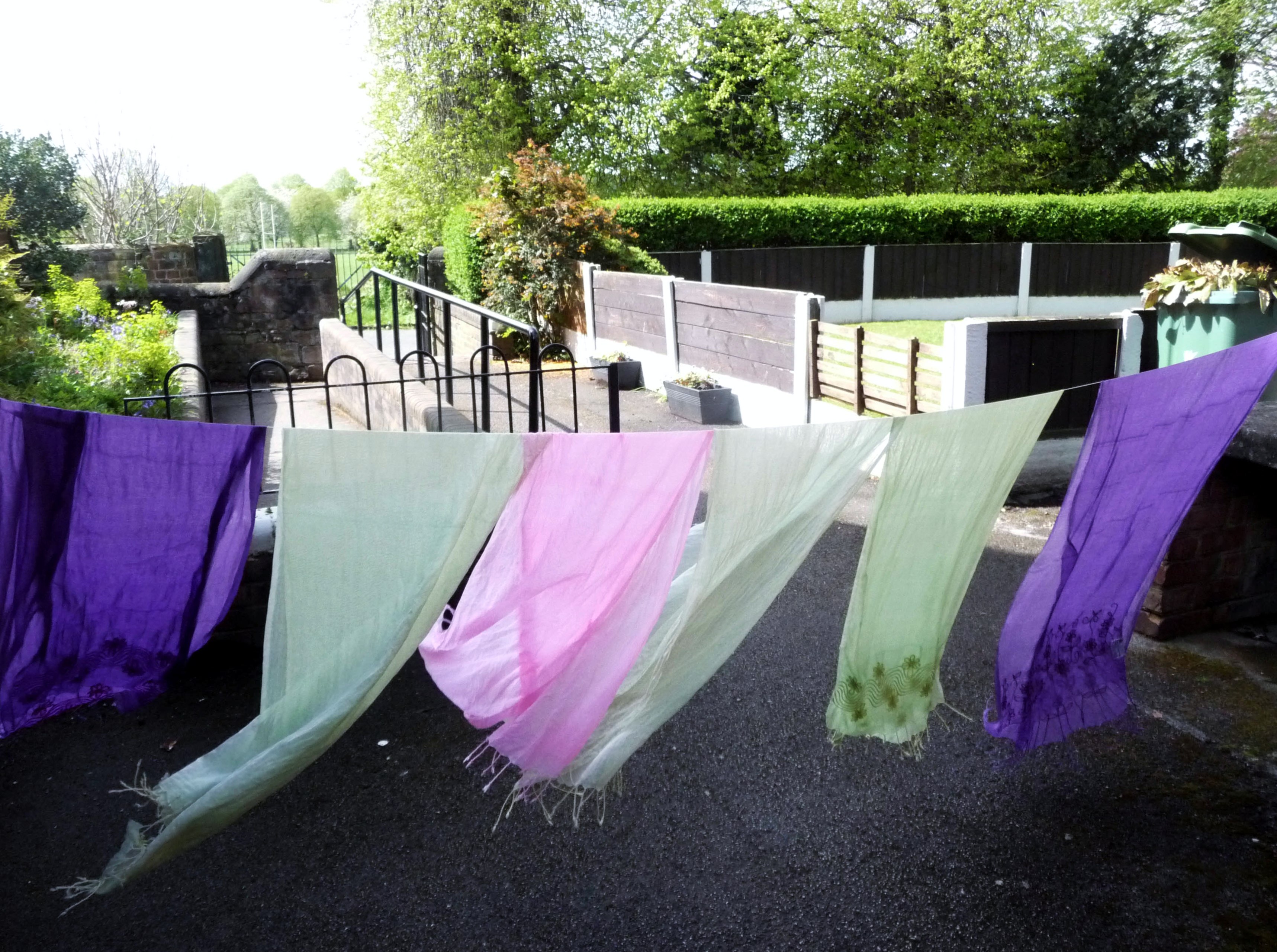 some of our dyed Sreepur scarves hanging in the sun to dry