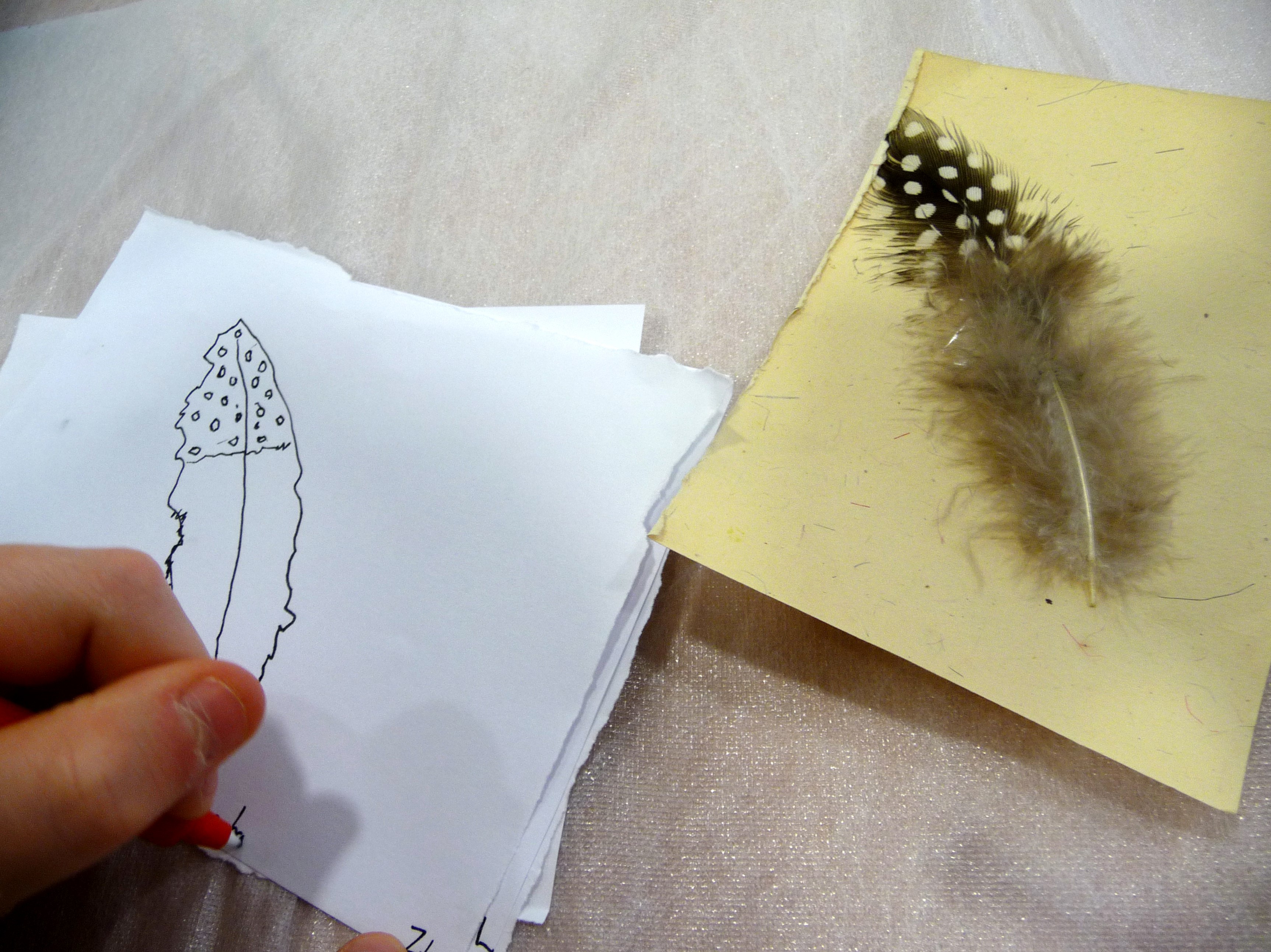 we had one minute to draw a feather