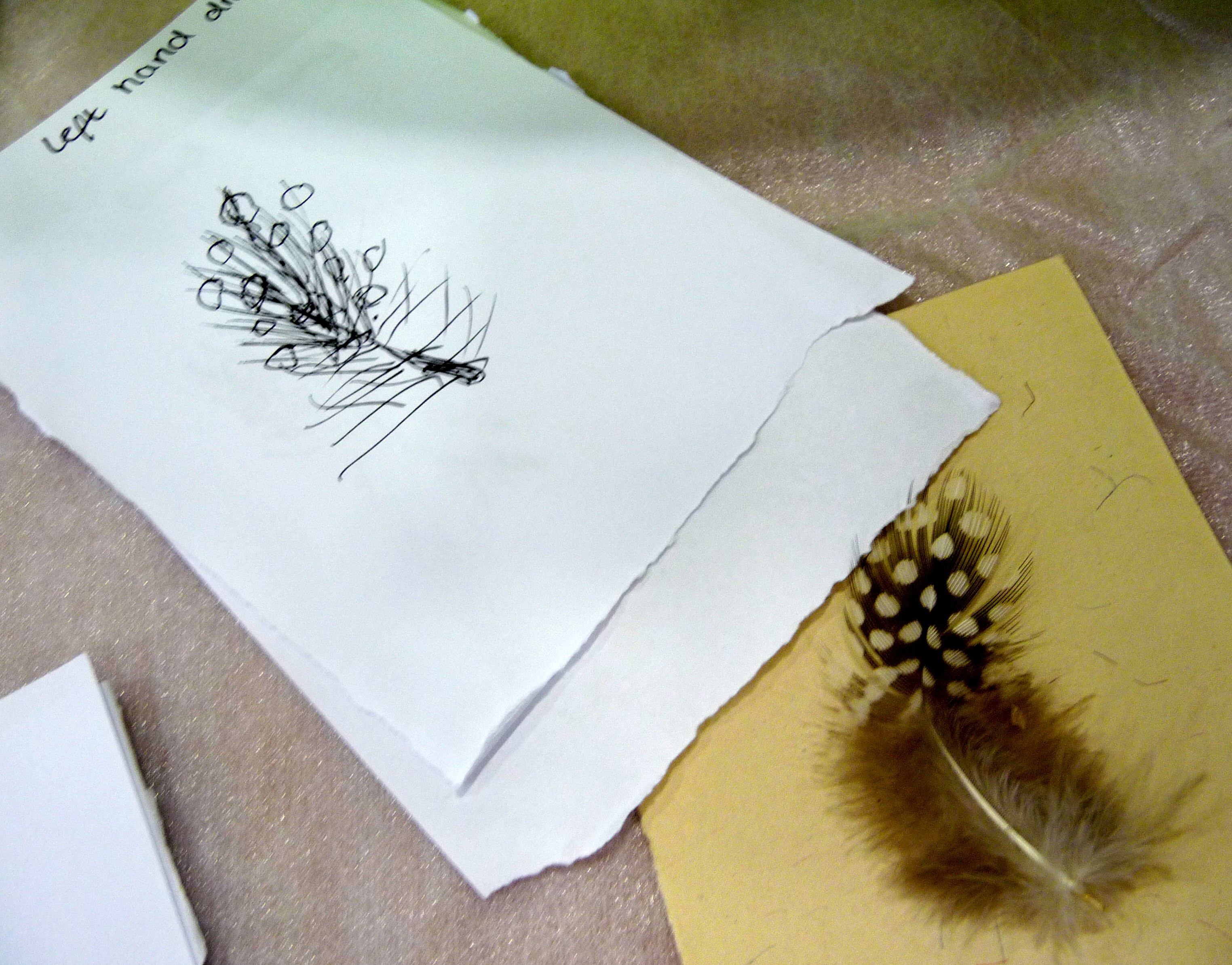 we had to draw a feather with the 'wrong hand'