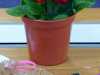 YE are making decorated plant pot bands for Mother's Day