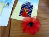 MEG Y.E. Group made chiffon "poppies for remembrance" to be displayed in Floral Pavillion, New Brighton
