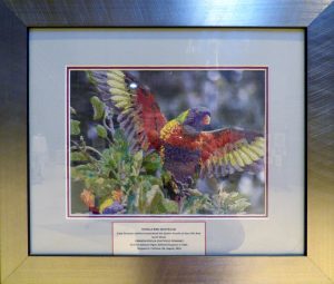 ROSELLA BIRD by Margaret Crichton, hand embroidery, Endeavour exhibition, Liverpool Cathedral, Sept 2018