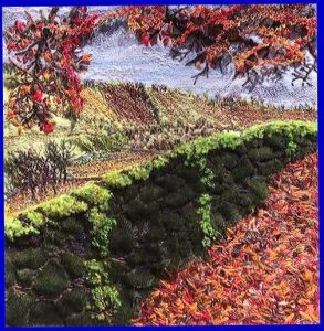 entry to MEG Christmas Competition 2020. Ist Prize Winner AN AUTUMN WALK ABOVE WINDERMERE by Patti Owen, machine embroidery